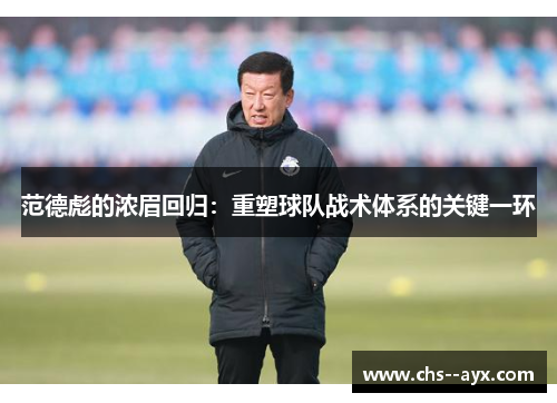 范德彪的浓眉回归：重塑球队战术体系的关键一环