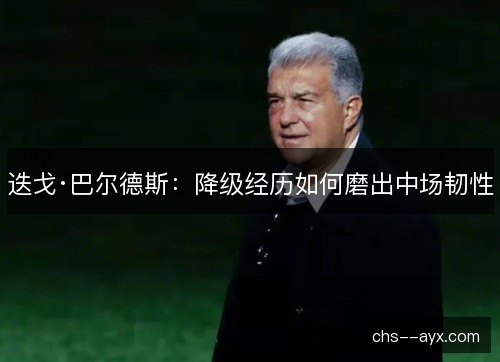 迭戈·巴尔德斯:降级经历如何磨出中场韧性 迭戈·巴尔德斯:降级经历如何磨出中场韧性